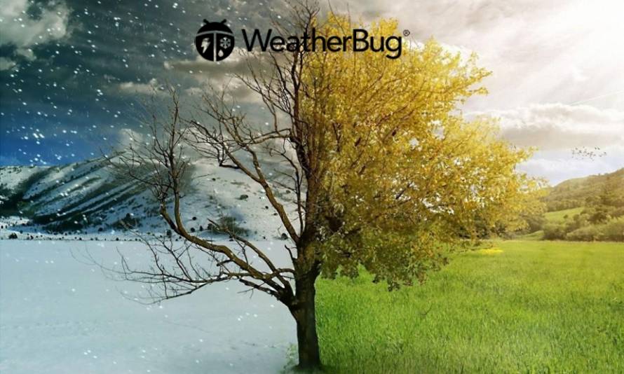 Top 10 Interesting Facts About Weatherbug